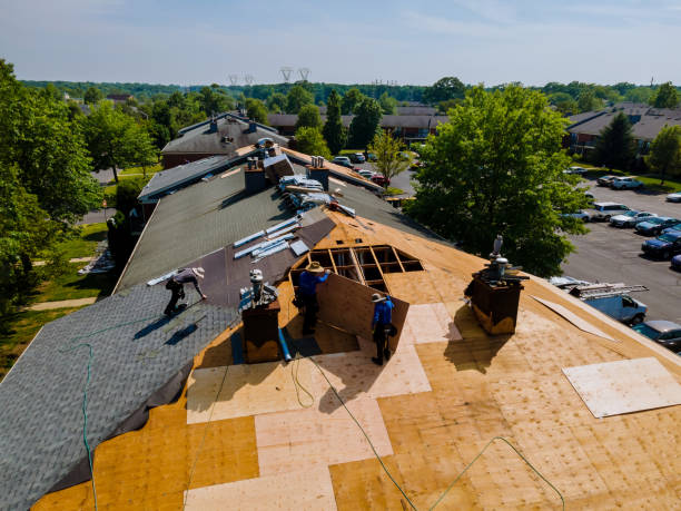 Quick and Trustworthy Emergency Roof Repair Services in Dewitt, AR