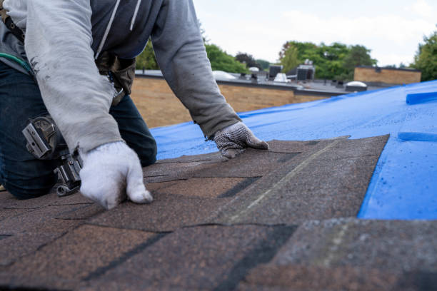 Best Commercial Roofing Services  in Dewitt, AR