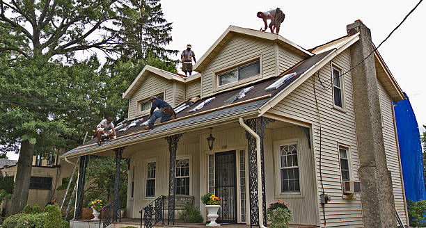 Roof Gutter Cleaning in Dewitt, AR