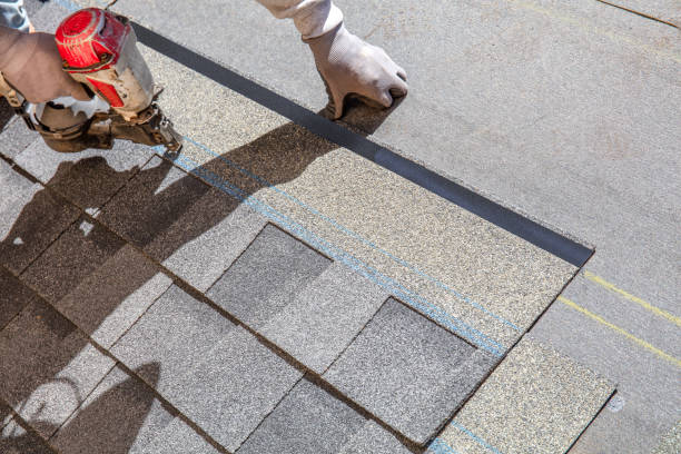 Best Roof Leak Repair  in Dewitt, AR